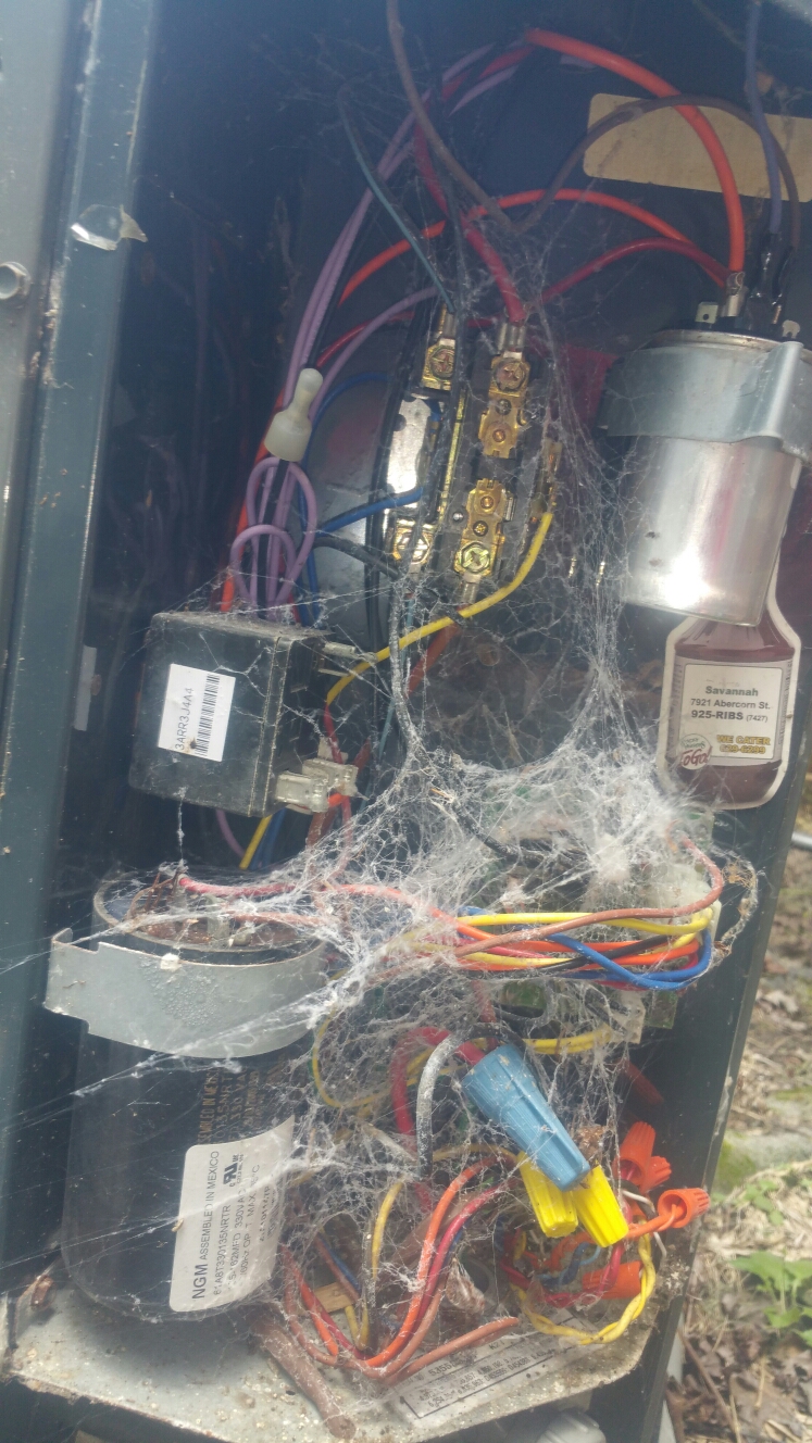 Spider webs