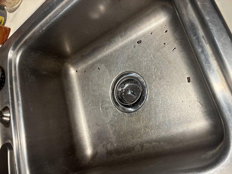 Conducted inspection of kitchen sink drain system. Examined stainless steel sink basin and identified normal wear with minor scratches and water marks. Inspected under-sink PVC plumbing configuration, noting slightly discolored P-trap showing signs of age. No immediate issues requiring repair were identified during this service visit.