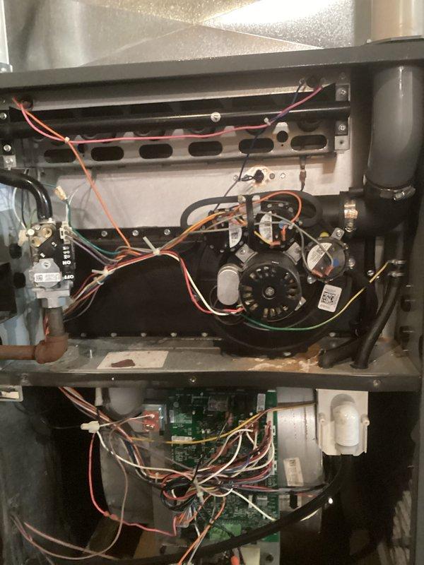 Performed comprehensive system tune-up on HVAC unit. Verified proper level installation of equipment using calibration tool and inspected internal electrical components including motor wiring and circuit board connections. All systems functioning within normal parameters after service.