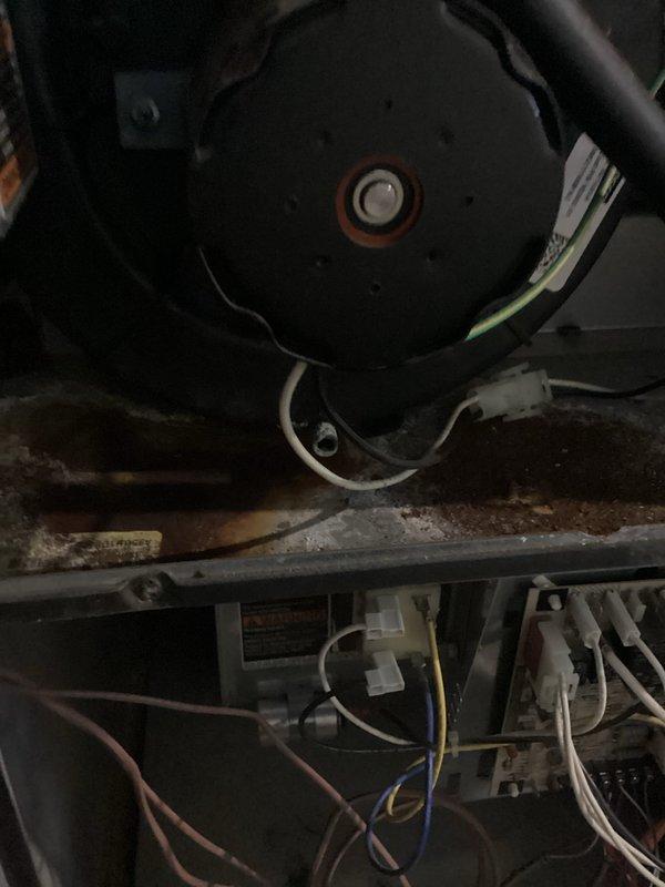 Performed comprehensive tune-up inspection on aging HVAC system, focusing on blower motor assembly and control components. Identified corrosion on metal panels and housing. Examined electrical connections and wiring (white, yellow, green) throughout unit, with particular attention to circuit board integrity and motor functionality. System shows signs of extended service life with visible wear on components.