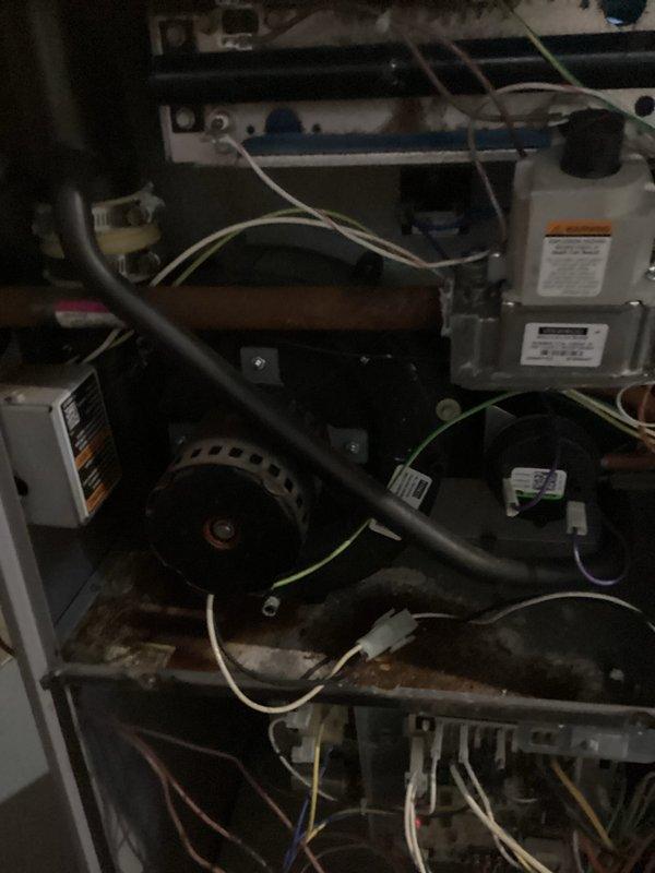 Performed comprehensive tune-up inspection on aging HVAC system, focusing on blower motor assembly and control components. Identified corrosion on metal panels and housing. Examined electrical connections and wiring (white, yellow, green) throughout unit, with particular attention to circuit board integrity and motor functionality. System shows signs of extended service life with visible wear on components.