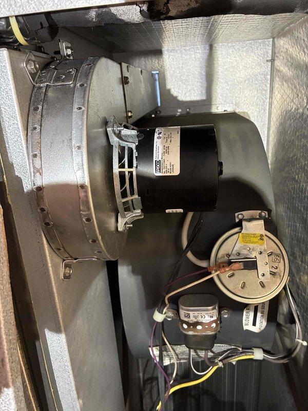 Inspected furnace for no heat complaint and found pressure switch faulty. Removed access panel to check internal components, revealing normal blower motor assembly but defective pressure switch preventing proper system ignition. Replaced pressure switch, tested system, and verified proper heating operation before closing unit.
