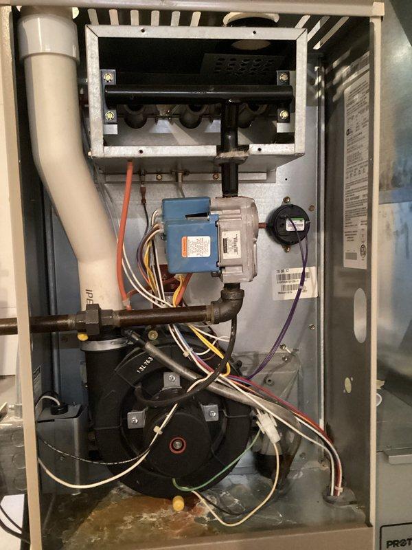 Completed HVAC system tune-up including inspection of furnace interior components. Checked blower motor assembly, electrical connections, and drainage system. Verified system leveling to ensure proper operation and efficiency of the unit.