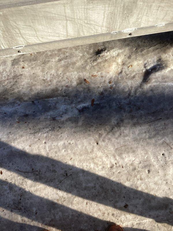 Completed installation of new complete HVAC system on concrete surface. Prepared mounting area and secured equipment properly. System installed according to manufacturer specifications and tested for proper operation.