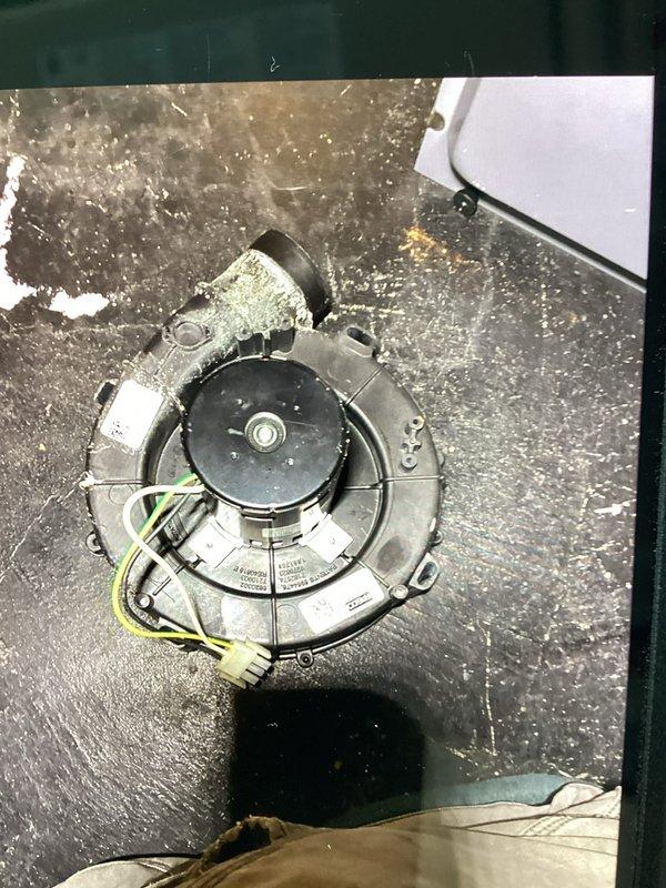 Responded to a no-heat service call on an aging HVAC system (10+ years). Diagnosed failed blower motor as the cause of heating failure. Removed and replaced the blower motor assembly, rewired electrical connections to factory specifications, and verified proper system operation. System now functioning normally with restored heat output.