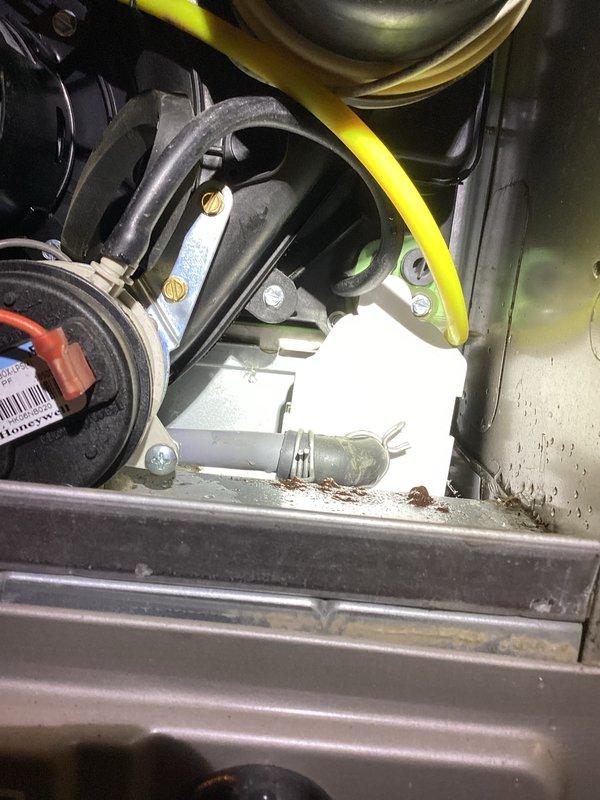 Diagnosed gas furnace with no heat issue. Inspection revealed an obstructed yellow condensate drain tube and accumulated debris in the internal components. Cleaned drainage system, removed debris from critical components, and verified proper operation of the blower motor and control board. System now functioning with normal heat output.