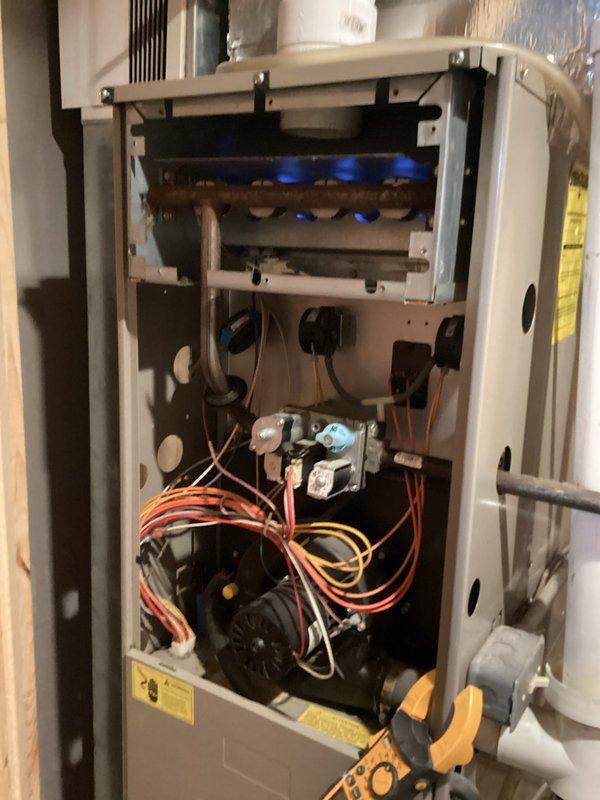 Performed diagnostic assessment on aging furnace with no heat complaint. Located disconnected electrical terminals causing burner failure. Reconnected wiring to control board and verified proper flame sequence. System is now operating correctly with strong blue flame pattern across heat exchanger.