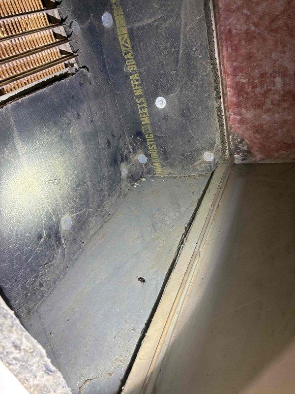 Performed comprehensive tune-up on HVAC system, including inspection of heat exchanger and ductwork. Noted dust accumulation on metal components and cleaned accessible areas. Examined connection points for signs of corrosion and verified proper fastener integrity on metal housing. System returned to optimal operating condition.