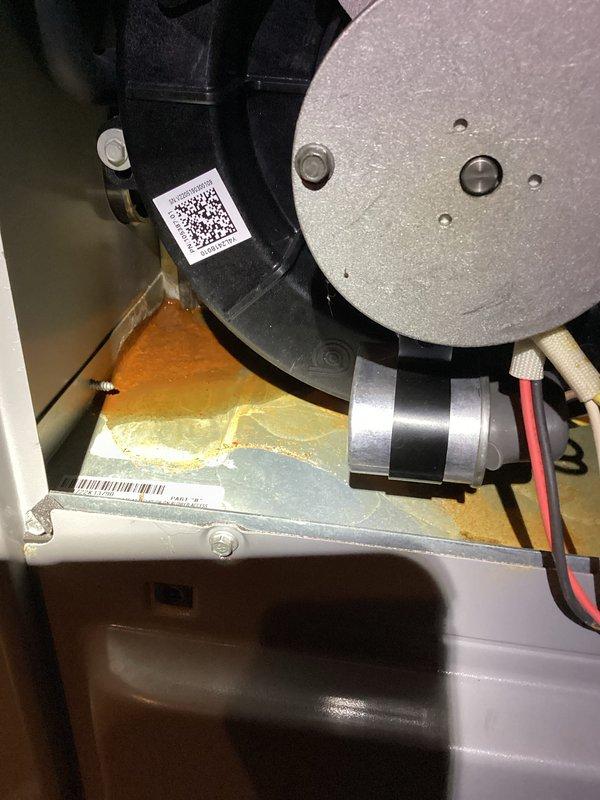 Performed comprehensive tune-up service on HVAC system, inspecting all internal electrical connections and safety components. Checked pressure switch assembly and verified proper operation of the motor/actuator system. Noted minor corrosion on base plate but confirmed all wiring connections are secure and functional with no immediate service concerns.