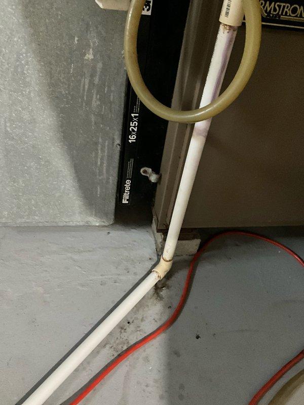 Performed inspection of an Armstrong furnace system in basement utility area, documenting condition of internal components including blower motor, wiring, and control systems. Examined the filter system (16 x 25 x 1 Filtrete) and evaluated the PVC condensate drainage configuration. Assessment focused on determining replacement requirements for the aging unit.