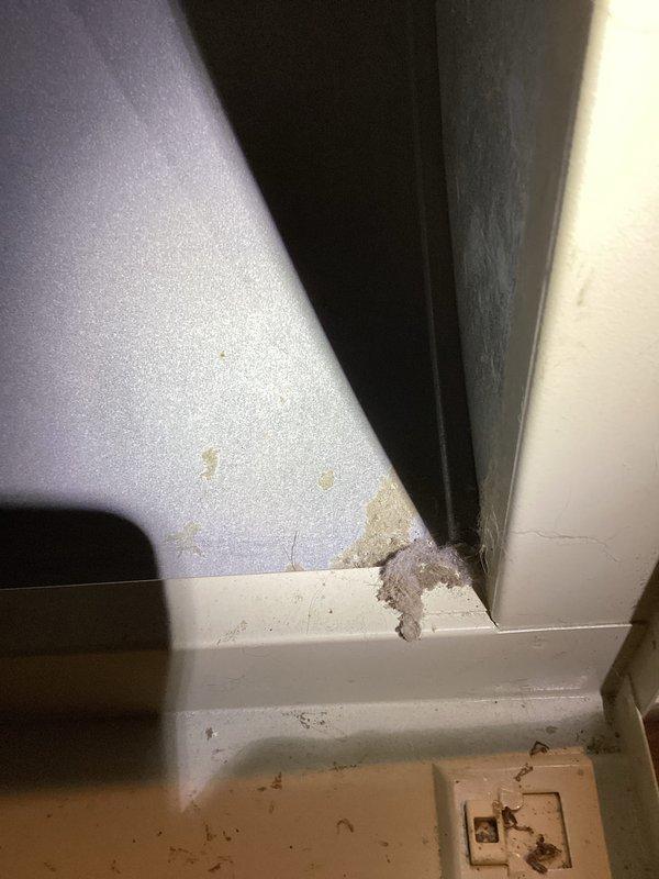 Performed routine maintenance on HVAC system, inspecting electrical components and connections. Noted water damage in corner of room affecting baseboard and drywall. Verified proper wiring connections within furnace unit and confirmed all systems functioning correctly after tune-up.