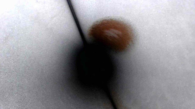 Performed regular maintenance inspection on customer's Bryant furnace located in basement. System appeared to be in normal working condition with proper installation of PVC venting. Visual inspection showed no obvious damage or irregularities to the unit or connected Honeywell control module. Recommended continued adherence to maintenance schedule to ensure optimal performance.