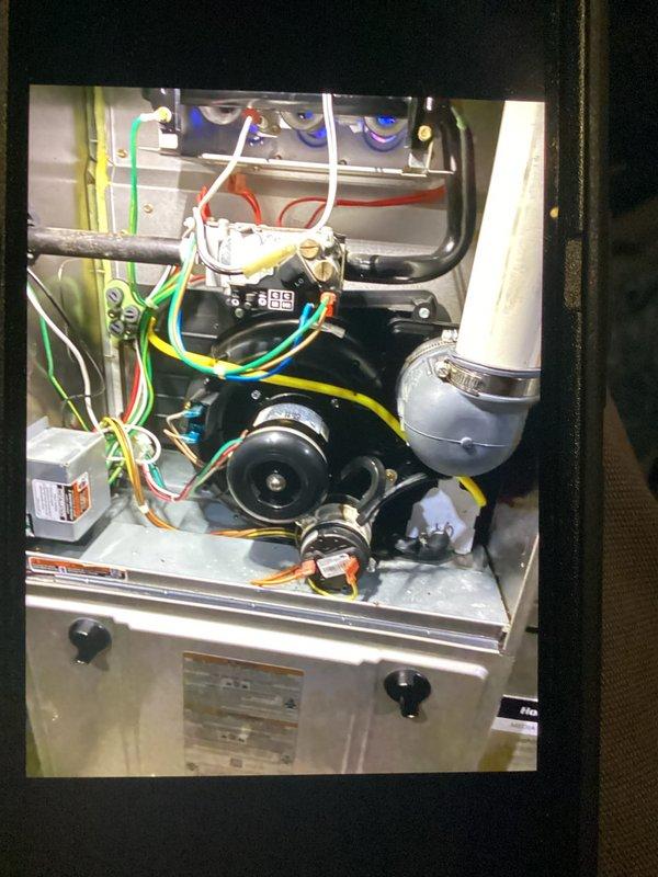 Performed comprehensive furnace inspection, focusing on blower motor assembly and electrical connections. Inspected all wiring (red, yellow, green, blue, white) for proper connections and integrity. Verified proper operation of control board components and checked ventilation/drainage system including PVC piping for obstructions.