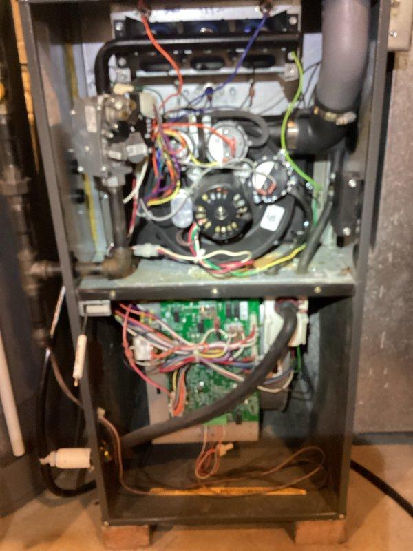 Diagnosed pressure switch malfunction in relatively new furnace causing no-heat condition. Inspected control board connections and blower assembly, finding loose wiring at pressure switch. Reconnected and secured all electrical connections, verified proper operation through complete heating cycle test.