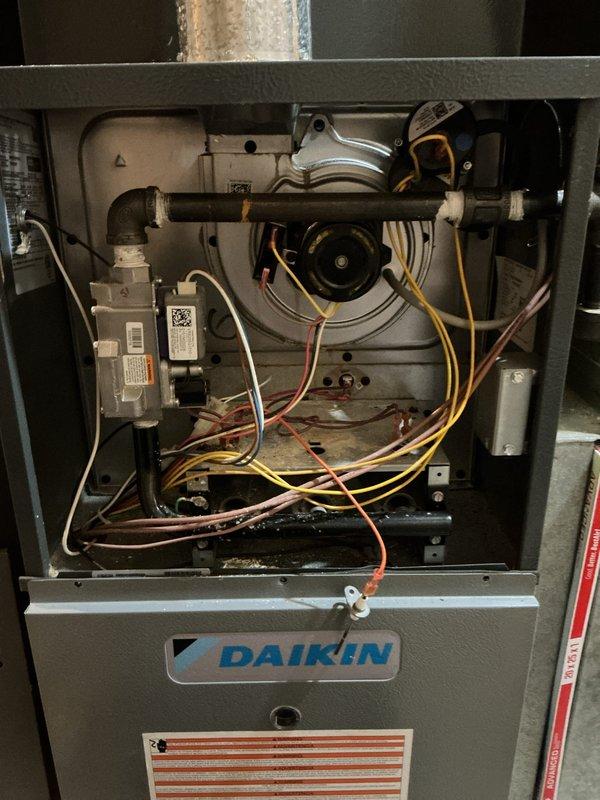 Performed scheduled maintenance on Daikin HVAC system. Inspected control board circuitry and wiring connections, confirming proper operation with no visible damage or loose connections. Examined blower wheel assembly and internal components, all found to be in normal working condition.