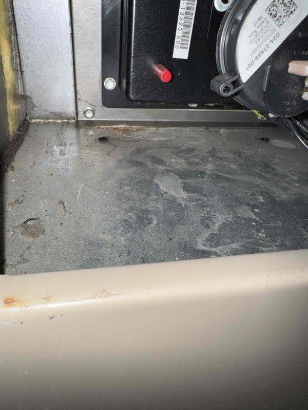 Responded to no-heat call for aging system (10+ years). Inspection revealed significant corrosion and rust damage to control board housing and electrical components. Moisture intrusion evident throughout unit with water stains on interior surfaces. Replaced corroded control board and associated wiring to restore heating functionality.