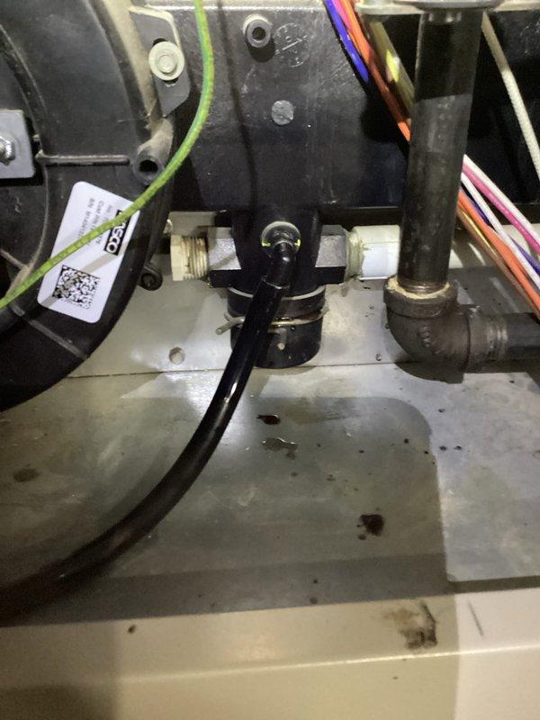 Responded to no-heat call for aging furnace (10+ years). Upon inspection, found faulty blower motor and worn electrical connections. Removed access panel, replaced blower motor assembly, cleaned interior components, and reconnected wiring harnesses. System now functioning properly with restored heat output.