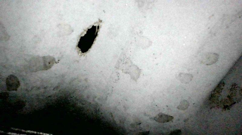 Completed comprehensive tune-up on customer's HVAC system, including inspection of internal components, electrical connections, and control board functionality. Identified significant water damage to ceiling near unit, likely caused by condensate drain blockage or leak in the system. Cleared drainage pathway and recommended repair of damaged ceiling material to prevent potential mold growth and further structural deterioration.