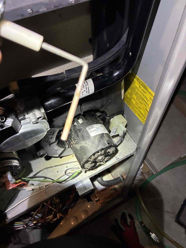 Performed routine maintenance service on Trane XB furnace. Removed access panel to inspect interior components, finding significant dust accumulation on blower motor assembly. Cleaned motor components and surrounding housing to improve system efficiency and prevent potential overheating issues.