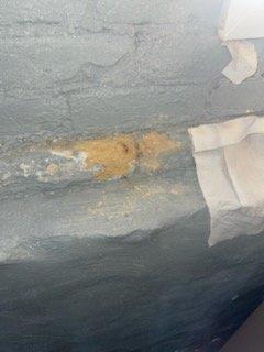 Responded to emergency call for water damage investigation. Identified water seepage through concrete foundation causing surface deterioration and staining. Applied temporary sealing measures to damaged area to prevent further moisture intrusion until permanent repairs can be completed.