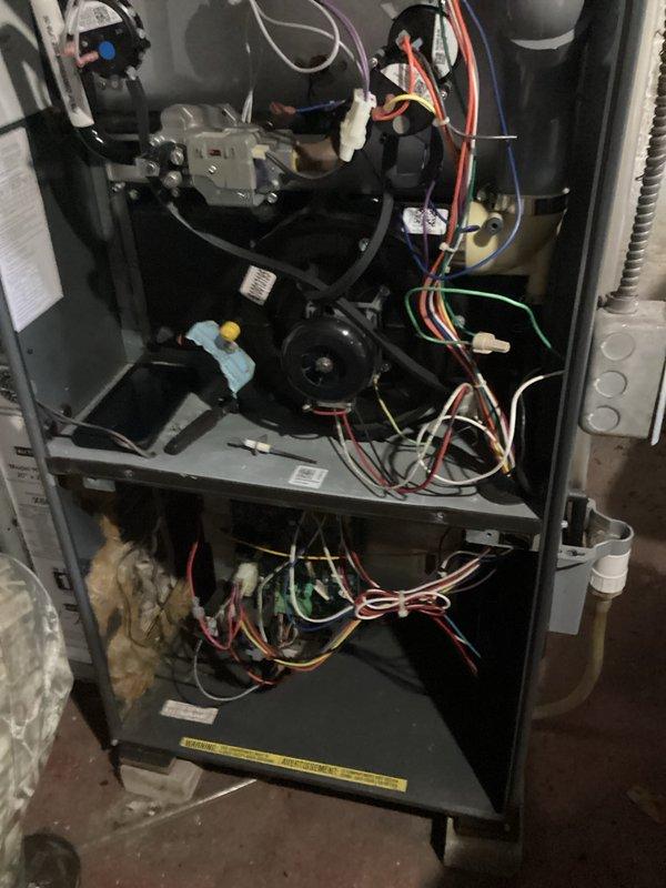 Performed comprehensive tune-up service on customer's gas furnace. Inspected and tested all electrical connections and wiring components, ensuring proper functionality of blower motor assembly and control board. Examined internal components with access panel removed to verify system integrity and operational status.