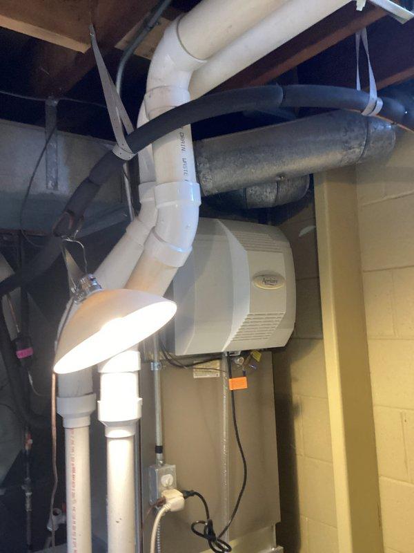 Performed comprehensive IAQ service on residential HVAC system in basement utility area. Inspected furnace internal components including circuit boards and wiring connections, and examined the connected PVC ventilation/drainage system. Serviced wall-mounted humidifier/air purifier unit and checked proper integration with existing metal ductwork and exhaust flue system.
