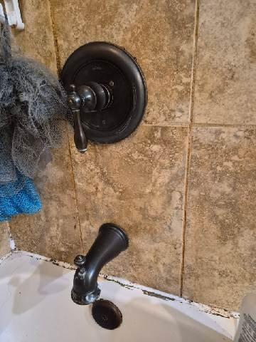 Conducted inspection of bathroom shower/tub fixture with oil-rubbed bronze finish. Identified significant water damage and mold growth on surrounding wall surfaces. Provided estimate for fixture replacement and recommended addressing underlying moisture issues to prevent future damage.