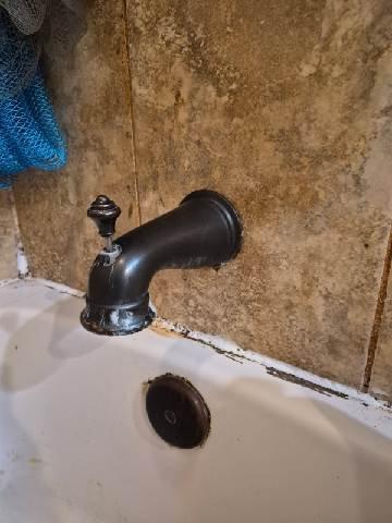 Conducted inspection of bathroom shower/tub fixture with oil-rubbed bronze finish. Identified significant water damage and mold growth on surrounding wall surfaces. Provided estimate for fixture replacement and recommended addressing underlying moisture issues to prevent future damage.