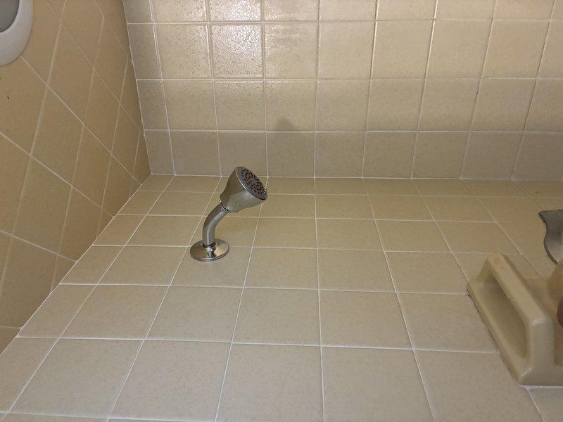 Inspected ceramic tile shower stall with wall-mounted handheld shower head. Observed minor discoloration and water spots on tile surfaces, particularly on wall areas. Confirmed proper drainage and fixture functionality after evaluation.