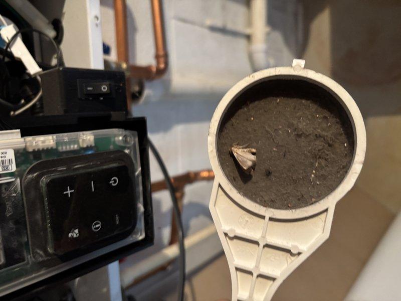 Performed routine maintenance on tankless water heater system including thorough flushing of internal components. Removed and cleaned sediment filter housing which showed significant debris accumulation. Inspected electrical connections and wiring harness for proper function and secure attachment. System restored to optimal operating condition with improved flow rate and efficiency.