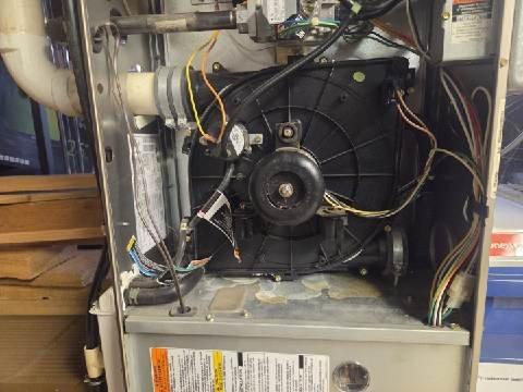 Responded to a no-heat call for a newer furnace (under 10 years old). Upon inspection, found the blower motor had failed, causing system shutdown. Replaced the blower motor assembly, verified proper electrical connections, and tested system operation. Unit now functioning correctly with normal heat output and proper cycling.