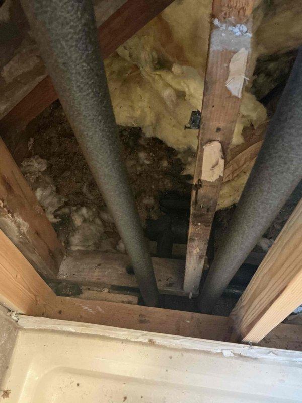 Completed installation of dual vertical insulated pipes within structural wall cavity. Secured pipes through wooden framing members with appropriate fasteners. Applied fresh insulation material around piping to ensure proper thermal efficiency and prevent condensation issues.