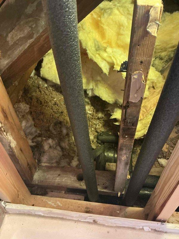 Completed installation of dual vertical insulated pipes within structural wall cavity. Secured pipes through wooden framing members with appropriate fasteners. Applied fresh insulation material around piping to ensure proper thermal efficiency and prevent condensation issues.