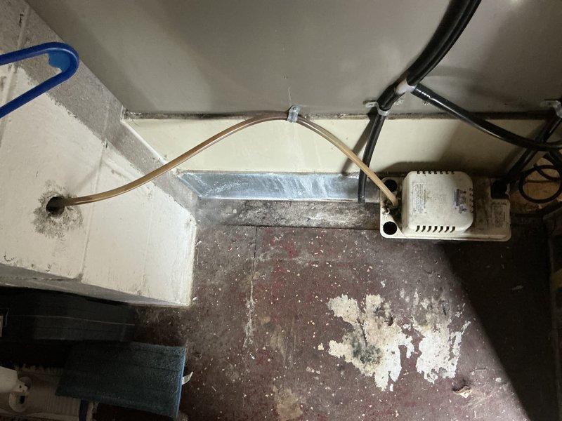 Completed installation of a Bryant Plus 95i Preferred Series furnace in the customer's utility area. Unit was properly mounted on a platform with flexible metallic ductwork connections. Also installed condensate pump system with drainage tubing secured to wall with appropriate bracketing.