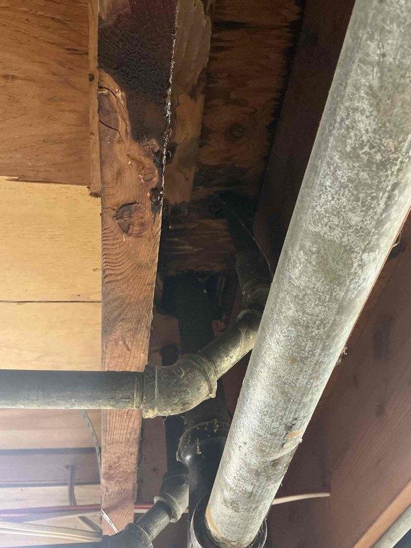 Conducted comprehensive inspection of exposed plumbing system in unfinished ceiling area, specifically examining the cast iron water service pipes showing signs of aging and discoloration. Documented multiple horizontal pipe runs with various connection points and fittings mounted along wooden joists, noting areas of potential concern including corrosion and aging joints that may require future replacement to prevent water damage.