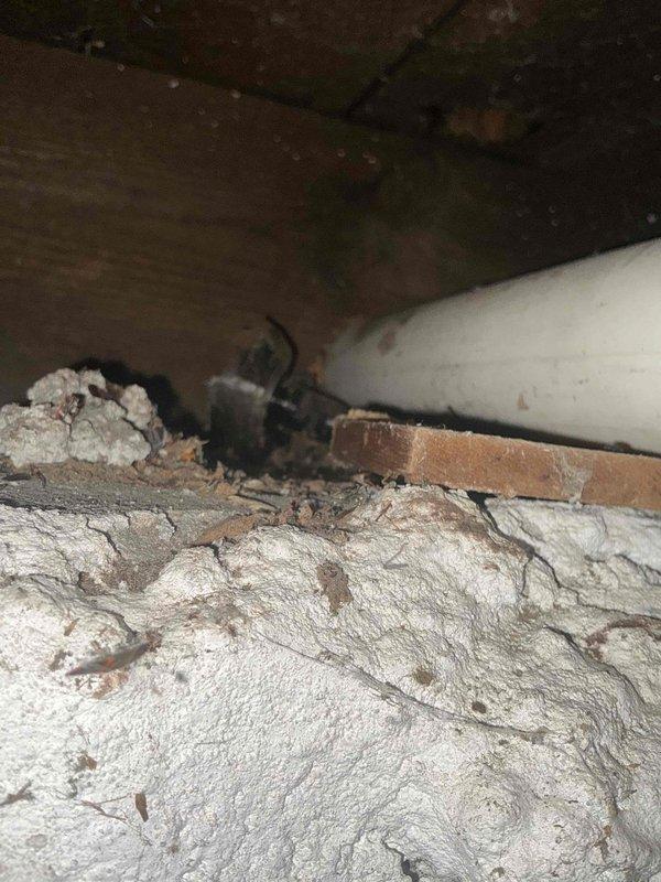 Performed a comprehensive inspection and documentation of existing mechanical systems in the basement utility area, focusing on a Rheem water heater installation with associated PVC venting and metallic ductwork. Examined the crawlspace for structural integrity and utility routing, noting the condition of concrete surfaces, wooden floor joists, and existing plumbing pathways for replacement planning purposes.