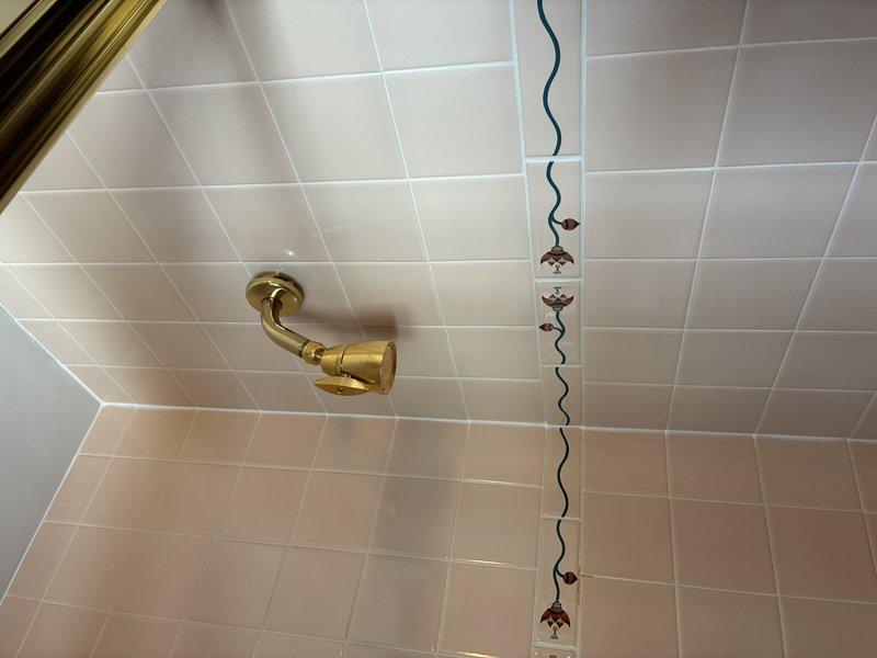 Conducted assessment of bathroom shower/tub enclosure featuring ceramic tile walls and brass fixtures. Evaluated existing shower head, faucet handle, and water spout for potential replacement. Documented condition of plumbing connections between wall and fixtures for future reference.