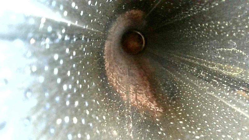 Performed comprehensive inspection of ductwork system, identifying significant dust accumulation and early-stage corrosion at connection points. Interior examination revealed perforated sections with visible rust formation and debris buildup that could potentially restrict airflow and reduce system efficiency.