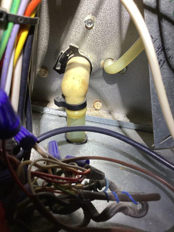 # HVAC Service Report - No Heat Call

## Summary
Responded to no heat call on 10+ year old residential furnace system. Performed diagnostic testing and inspection of internal components, identifying issues with aged pressure switch tubing and electrical connections requiring attention.

## Work Performed

Upon arrival, conducted systematic diagnostic evaluation of furnace unit experiencing no heat condition. Removed front access panel to access internal components for thorough inspection and testing.

Utilized digital diagnostic equipment to measure and verify system performance parameters. Conducted visual inspection of all major components including blower motor assembly, evaporator coil section, control board, and associated electrical connections.

Identified deteriorated pressure switch tubing showing signs of age-related discoloration and potential integrity issues. This yellowish-beige rubber tubing exhibited hardening and brittleness common in units of this age, which can cause