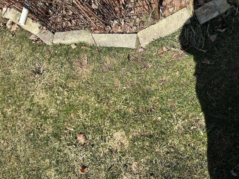 Conducted comprehensive site evaluation for complete HVAC system replacement at residential property. Assessed existing outdoor condenser unit positioned against exterior wall with horizontal siding, noting unit's current placement and clearance requirements for new equipment installation. Documented surrounding conditions including landscaping obstacles requiring attention prior to replacement, specifically overgrown vegetation in immediate proximity to existing unit that will need removal or trimming to ensure proper airflow and maintenance access for new system. Evaluated ground conditions and foundation stability for equipment placement, confirmed adequate concrete pad support. Photographed current installation configuration and site conditions to facilitate accurate equipment sizing and installation planning for replacement system.