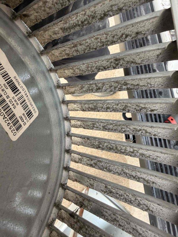 Replaced failed blower motor assembly on HVAC system. Removed heavily soiled evaporator coil showing significant dust and debris accumulation that was restricting airflow and reducing system efficiency. Installed new motor, verified proper operation, and restored unit to normal function.