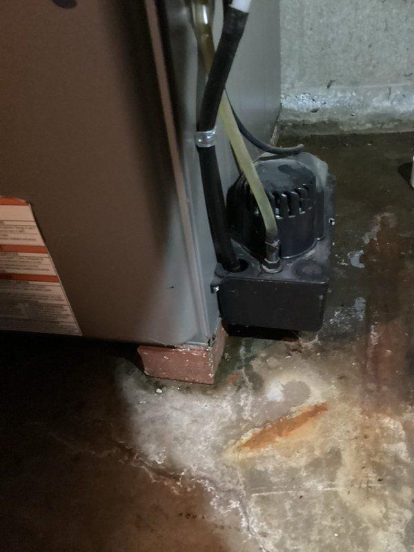# HVAC Furnace Service and Condensate Pump Inspection

Responded to service call for furnace system inspection in basement mechanical room. Upon arrival, observed significant water staining and discoloration on concrete floor surrounding HVAC equipment, indicating historical moisture accumulation and drainage issues. 

Inspected furnace unit and associated condensate removal system. Examined white condensate pump installed at base of furnace, which appeared to be functioning but showed signs of previous drainage concerns based on floor staining patterns. Verified electrical connections to pump were secure and tested pump operation to ensure proper water removal from system. Checked condensate tubing routing and connections for proper installation and drainage flow.

Assessed furnace unit for any water damage or corrosion, noting minor surface rust at base where unit contacts floor due to moisture exposure. Inspected manufacturer information plate and unit specifications. Verified all e