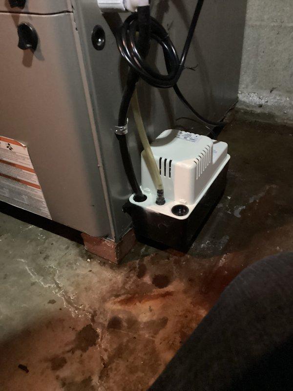 # HVAC Furnace Service and Condensate Pump Inspection

Responded to service call for furnace system inspection in basement mechanical room. Upon arrival, observed significant water staining and discoloration on concrete floor surrounding HVAC equipment, indicating historical moisture accumulation and drainage issues. 

Inspected furnace unit and associated condensate removal system. Examined white condensate pump installed at base of furnace, which appeared to be functioning but showed signs of previous drainage concerns based on floor staining patterns. Verified electrical connections to pump were secure and tested pump operation to ensure proper water removal from system. Checked condensate tubing routing and connections for proper installation and drainage flow.

Assessed furnace unit for any water damage or corrosion, noting minor surface rust at base where unit contacts floor due to moisture exposure. Inspected manufacturer information plate and unit specifications. Verified all e