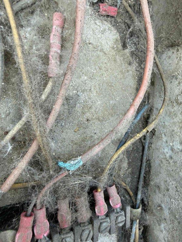 Completed commercial RTU inspection and documentation. Unit exhibited significant corrosion on drain pan with extensive rust deterioration throughout the perforated surface, indicating prolonged moisture exposure and potential drainage issues. Electrical wiring connections showed heavy dust and debris accumulation on terminal blocks and throughout the compartment, with cobweb buildup on concrete surfaces and wire runs. Photographed corroded drain pan assembly, insulation condition, and electrical wiring connections for maintenance records and recommended follow-up repairs to address pan replacement and compartment cleaning to prevent potential electrical issues from contamination.