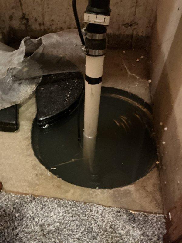 Performed comprehensive inspection of existing sump pump system located in basement. Evaluated sump basin condition, noting water accumulation with visible sediment and mineral content present in basin. Inspected vertical PVC discharge pipe installation, verifying proper mounting with securing brackets and clamps. Assessed electrical connections and cord routing from pump unit. Examined basin perimeter and surrounding concrete floor, documenting debris accumulation and general wear patterns. Verified pump accessibility and basin cover components. System remains operational for continued water management and flood prevention purposes.