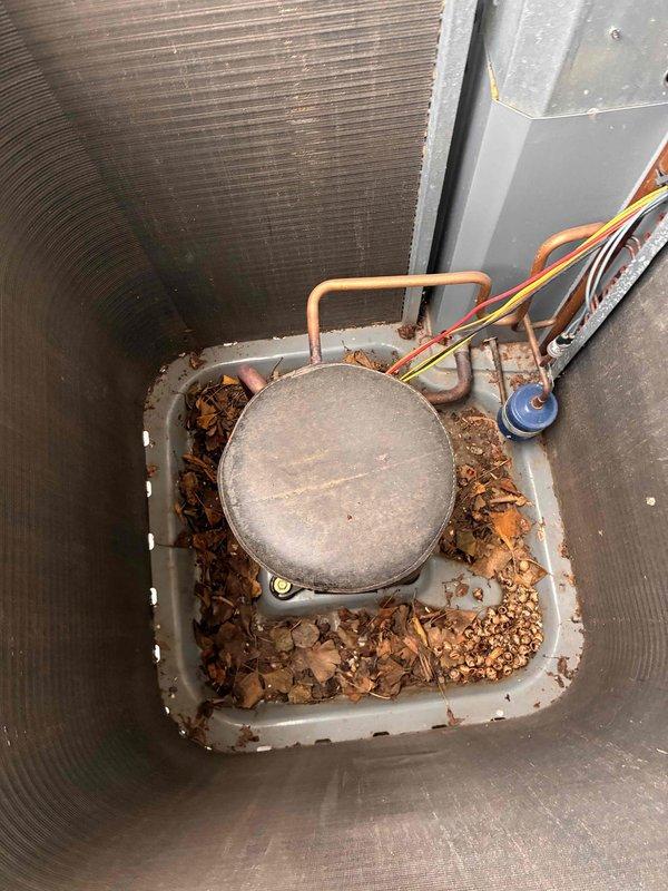 Completed routine cooling system maintenance visit as part of membership agreement. Performed comprehensive inspection of outdoor condensing unit, which showed significant accumulation of leaves, twigs, and organic debris in the base pan and around compressor components. Cleaned debris from unit interior, inspected compressor, capacitor, refrigerant lines, and electrical connections, and verified all components were operating within normal parameters.