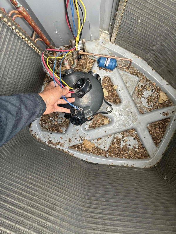 Completed routine cooling system maintenance visit as part of membership agreement. Upon inspection, found significant organic debris and biological growth accumulation in the condensate drain pan requiring cleaning. Verified thermostat operation showing proper temperature control at 66°F with system in cooling mode, checked capacitor connections and wiring integrity, and inspected refrigerant lines and evaporator coil condition.