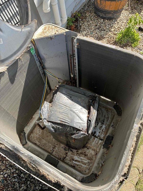 Completed air conditioning tune-up on rooftop HVAC unit. Opened and inspected both rooftop unit and ground-level condenser, finding moderate dirt and debris accumulation on fan assemblies and internal components. Cleaned fan blades, housing, and compressor area, removing outdoor debris and grime buildup from all accessible surfaces.