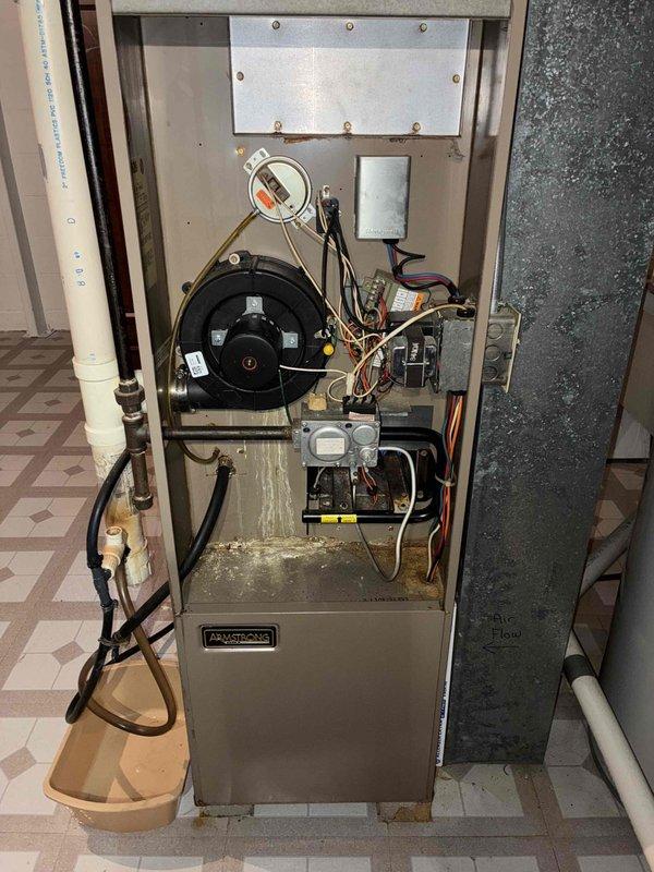 Responded to no heat call with reported clicking noise from furnace. Upon inspection, found Armstrong furnace with control board displaying blue LED lights indicating power to unit. Identified significant moisture accumulation and water damage in lower cabinet area, with visible discoloration and staining on base panel. Clicking noise likely caused by relay or ignition control attempting to cycle. Documented internal condition showing blower motor, electrical connections, and control components all accessible with standard wiring configurations intact. Water intrusion appears to be affecting proper system operation and may be impacting safety controls or ignition sequence.