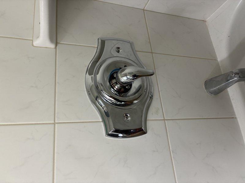 Completed shower mixing valve repair and chrome fixture installation. Accessed plumbing behind tile wall to replace faulty mixing valve with new unit, ensuring proper water temperature control and flow regulation. Reinstalled chrome-plated shower diverter fixture with dolphin-shaped handle and shield mounting plate, securing all components to manufacturer specifications. Restored wall opening and verified all connections for proper operation and leak-free performance.